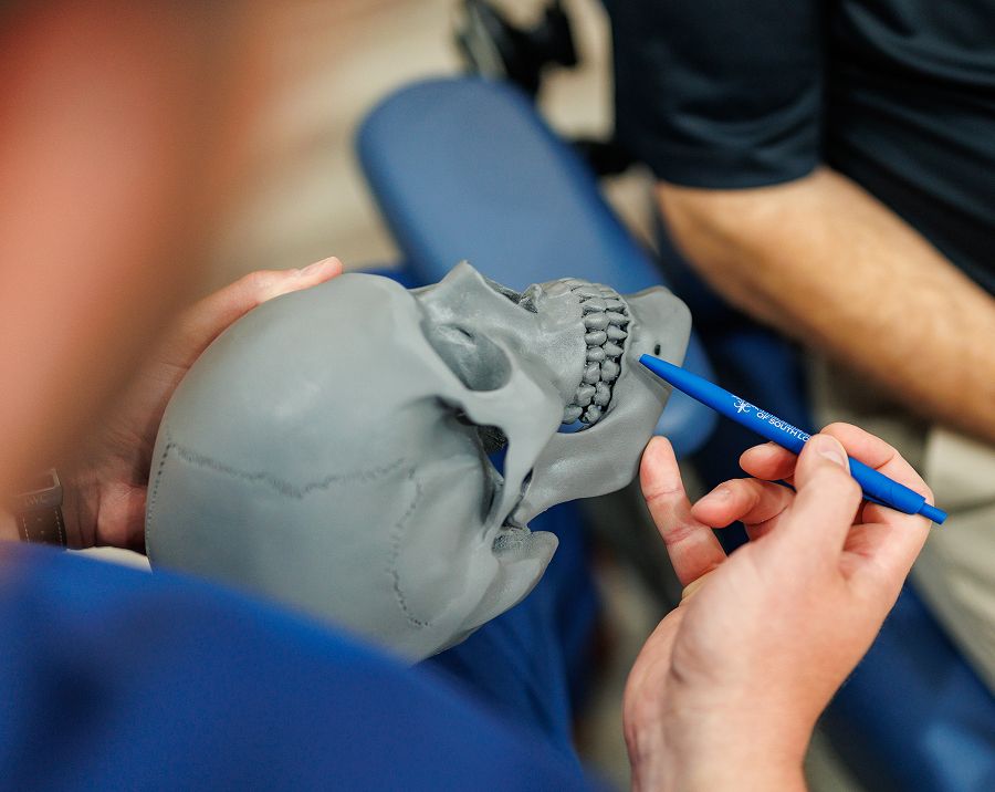 Hand holding skull model with blue pen